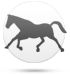 Кінь